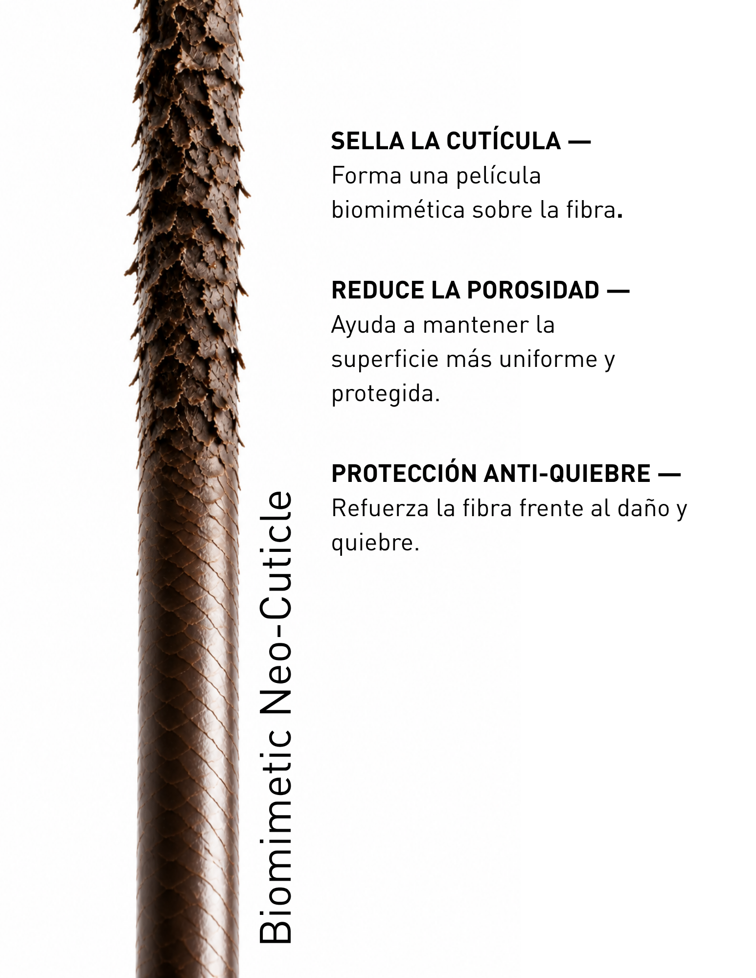Biomimetic Neo Cuticle