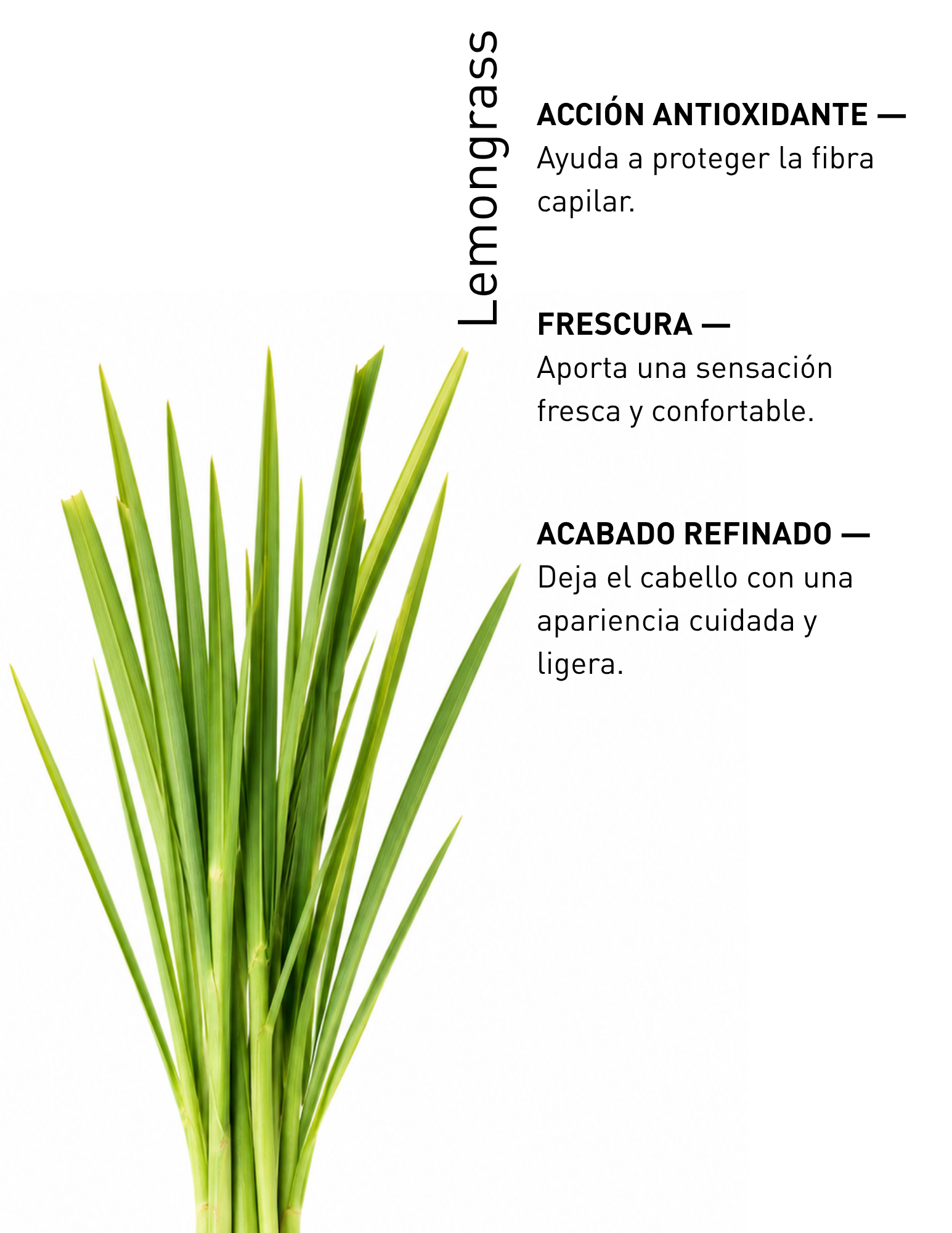 LEMONGRASS 1