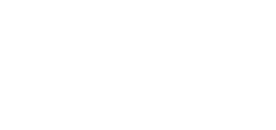 The Wedding Book